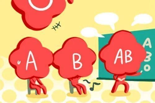 A型、B型、AB型、O型血，四大血型都有什么特点？看完涨知识了