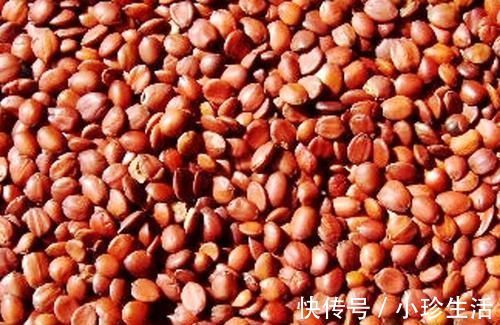 百合干|失眠的“救星”找到了，睡前来一点，安神静气，让你夜夜睡得香