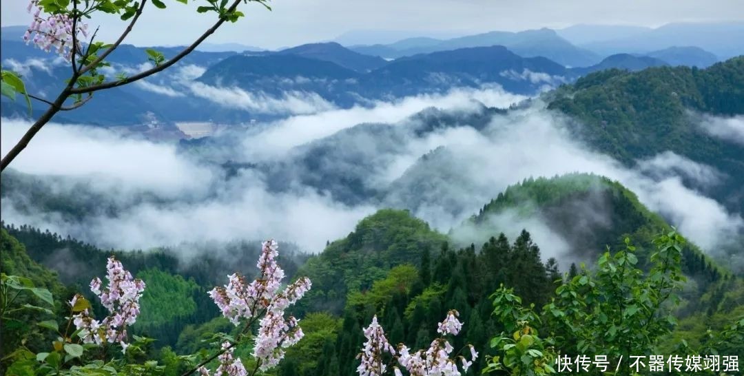 春色游柳江，美景、美食、美宿——够范儿！