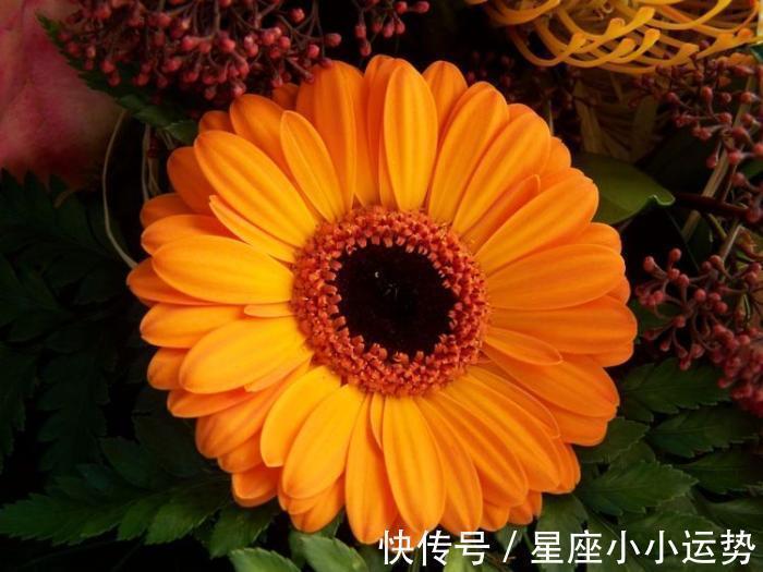 桃花|未来10天，缘分与桃花静候佳人，幸福美满的3大生肖