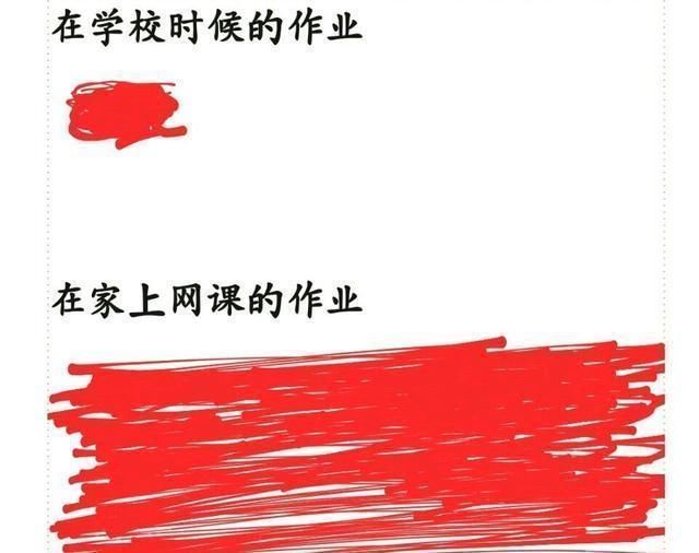 考试|网课作业多到写不完，一考试全废，感觉像做了无用的功如何破