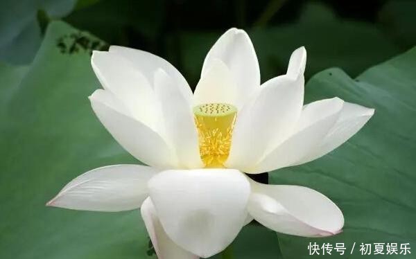 哀怨|这些短句与你分享:豁达一点,对生活少一点哀怨,多一点喜悦