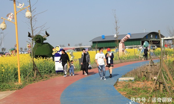 中年|罗平油菜花有多美?游客说:每年都来,怎么也看不够