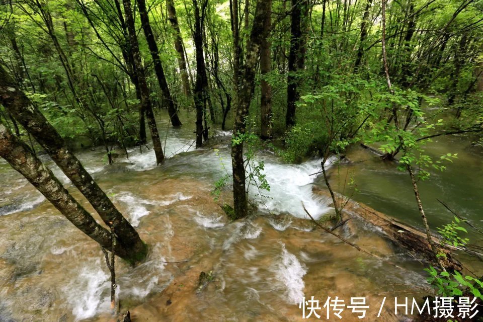 海子|神奇的人间天堂 九寨沟