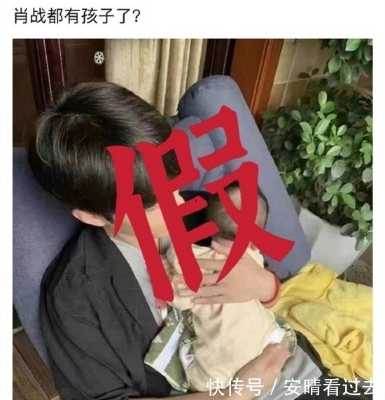 辣目洋子|又一档综艺节目落幕｜一群大象