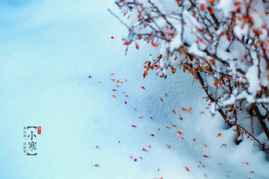 风雪夜归人#今日小寒 | “数九寒天”到了！新春佳节近了……