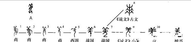 吉方|甲骨文出土，揭开“姜”字的初始本意，原来姜子牙是羌人