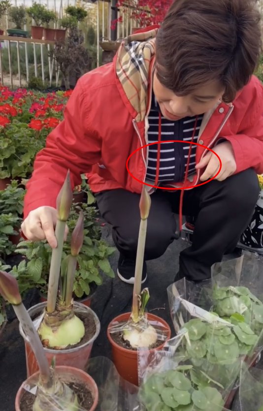 48岁邓亚萍身材走样 逛花市上手掰花被批 15岁儿子身材高大 全网搜