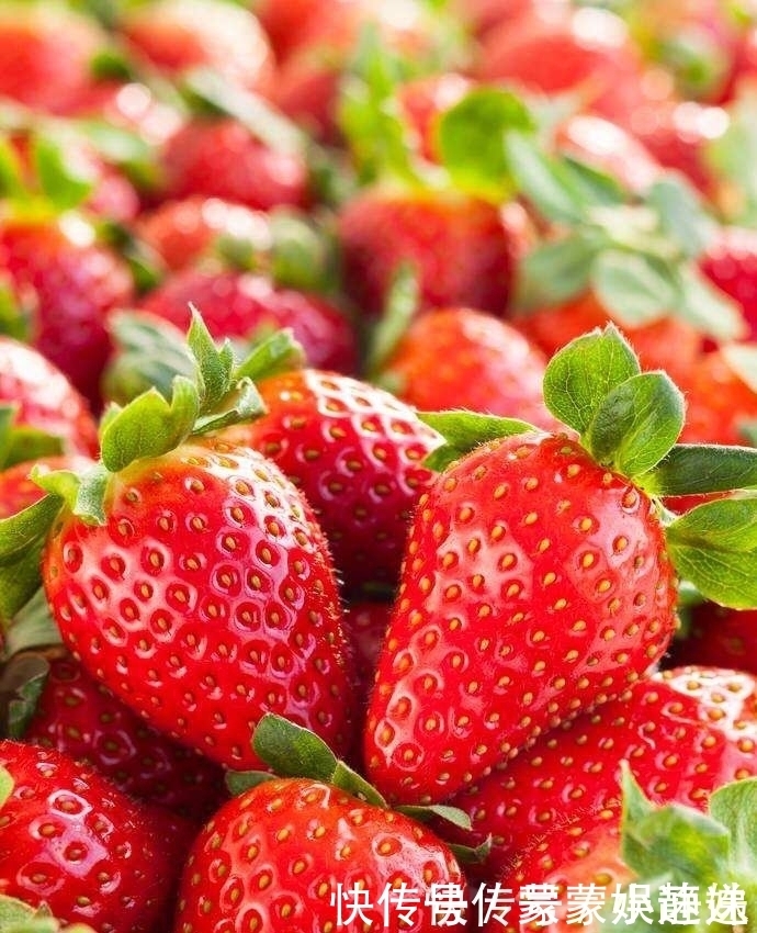 草莓别用水冲，水果店老板教我一招，灰尘和虫卵自动跑出来，学学