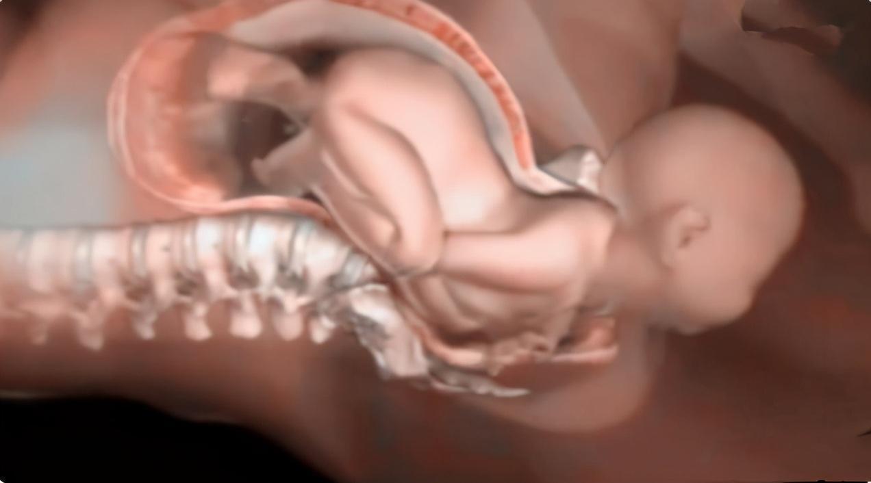 yoyo|为什么顺产会很痛4张图讲解原因,妈妈没有容易的