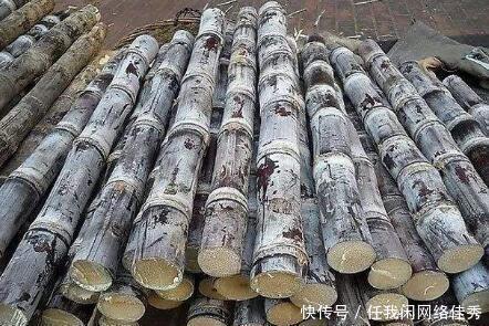 咬不动|外国人吐槽最多的4种中国美食,甘蔗上榜,老外咬不动!