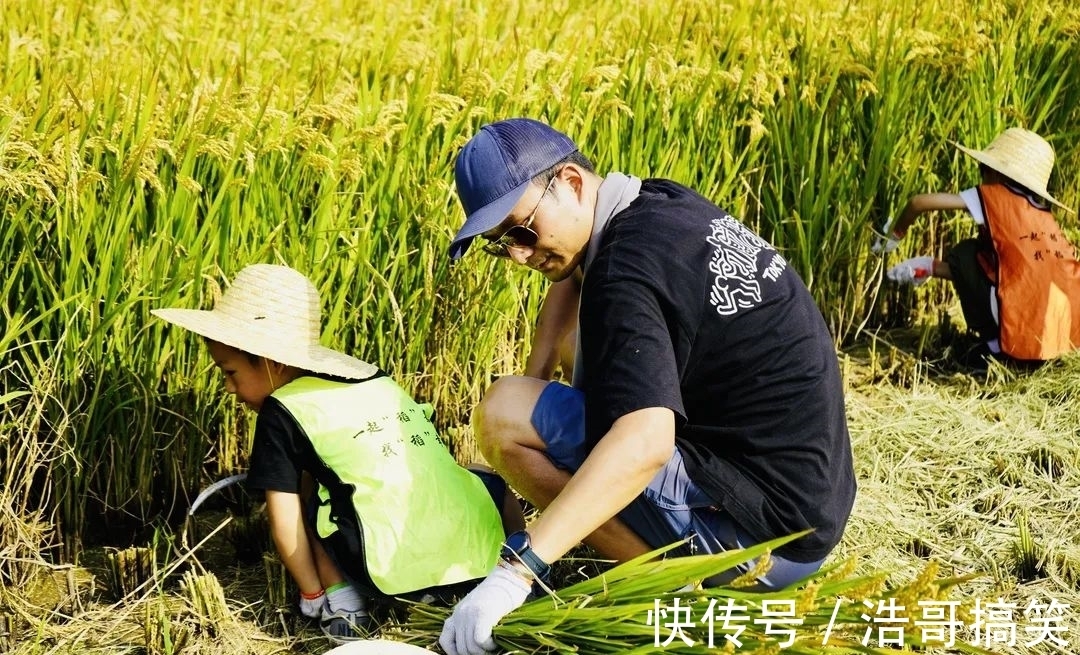 文化節(jié)|帶著孩子來(lái)割稻啦!還有稻田音樂(lè)季、美食市集和露營(yíng)活動(dòng)~