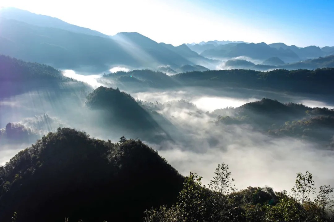 诗词告诉我们，要学会珍惜当下，不要让自己留下遗憾