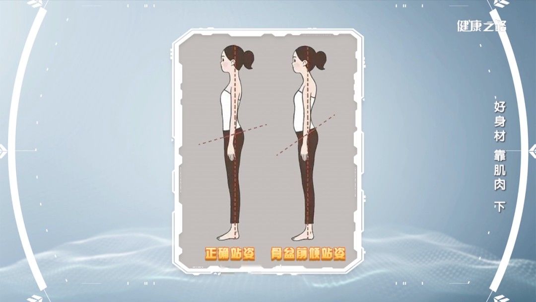 健康之路| 肌肉