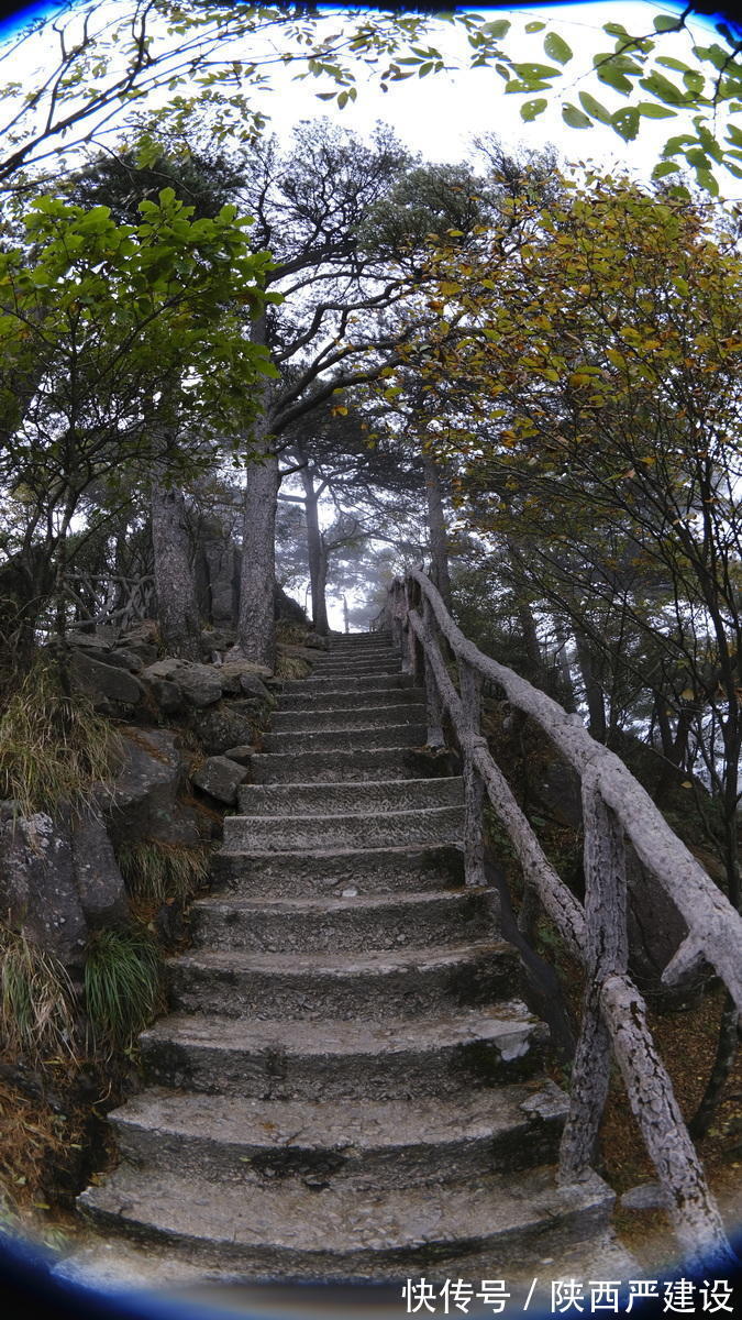 黄山|薄云浓雾游黄山宛若仙境【严建设】