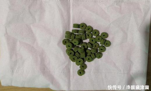 钓鲫鱼久不发窝，不妨试试这几种打窝方式，鱼口马上会有变化