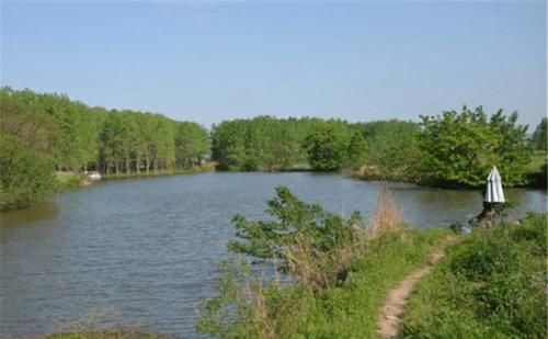 钓草鱼还可以钓底，钓草鱼一定要看准位置，还有以下几个建议，晚春钓草鱼