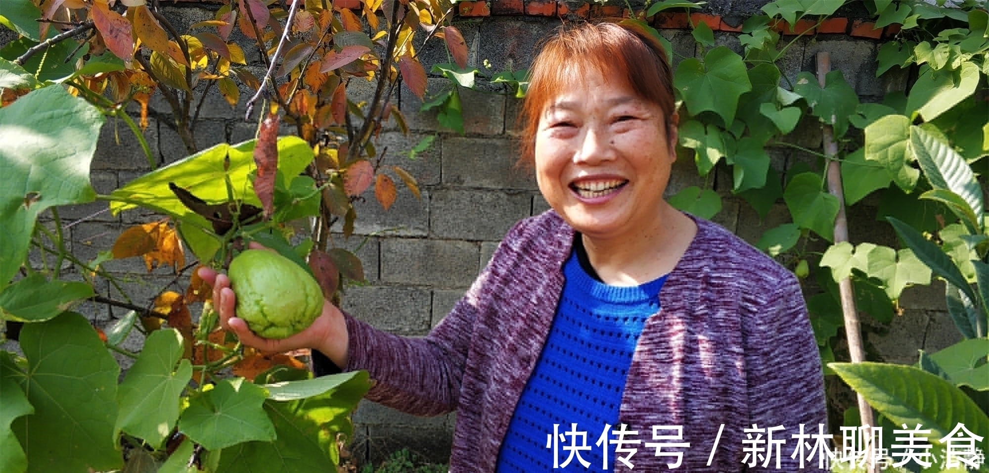 支架|这瓜19世纪才传入我国,既是水果又是蔬菜,营养高,凉拌最好吃