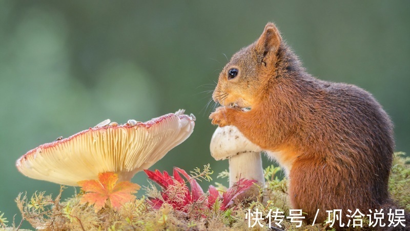 财源|此3生肖吉人天相，再过6天逢贵人开运，迎财神上门，积累万贯财！