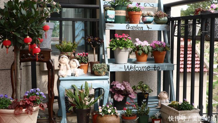 洋房|为了可以养花,我建了座小洋房,终于可以打造梦寐以求的花园了