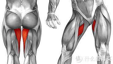 膝关节|如何改善深蹲时出现的膝盖痛?