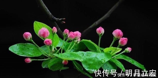 新绿|元好问晚年回到故乡,写给儿孙一首诗,指出了人世间最好的教养