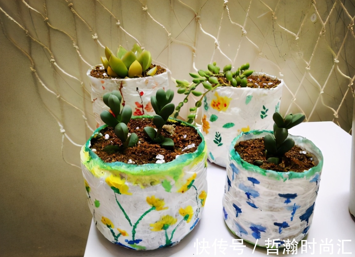 养花缺少花盆的话,多收集些它们“加工”就够了!