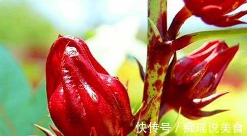 肤质|女性过了40岁,坚持常吃的食物,改善肤质,补充营养、滋补身体