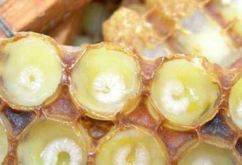 紫菜|雌激素“快干枯”的女人,身体有什么迹象?6种食物不妨多吃一点