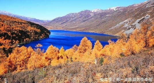 面积是西湖的7倍！四川超大景区走红，距离市区17公里，景色绝美