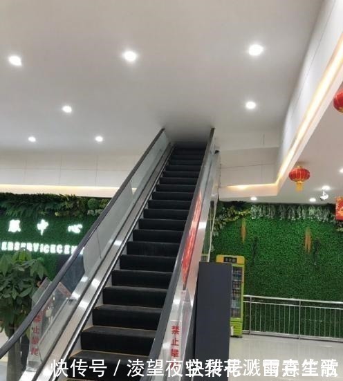 ev小长假不看点沙雕图怎么过!这世上竟有如此沙雕的手办!