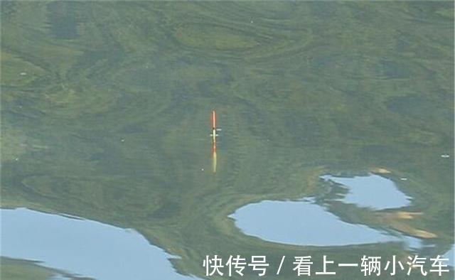 冬钓轻口鱼,如何让漂相幅度更大?注意选漂是前提,调漂才是关键