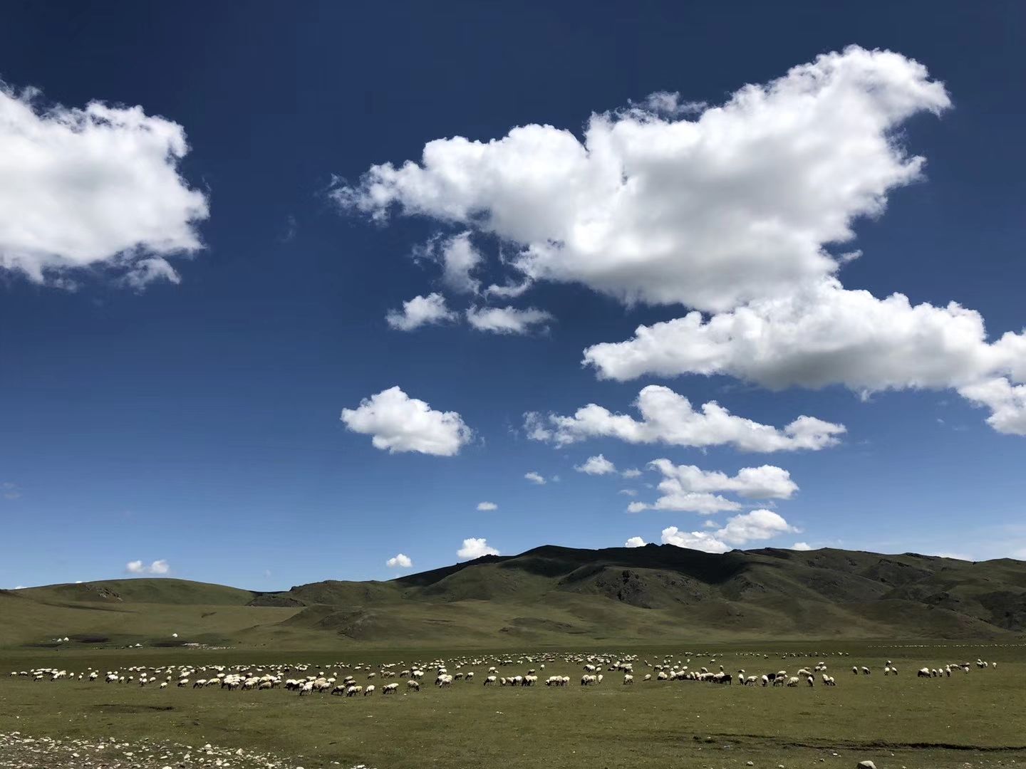 自驾独库公路，饱览天山风情