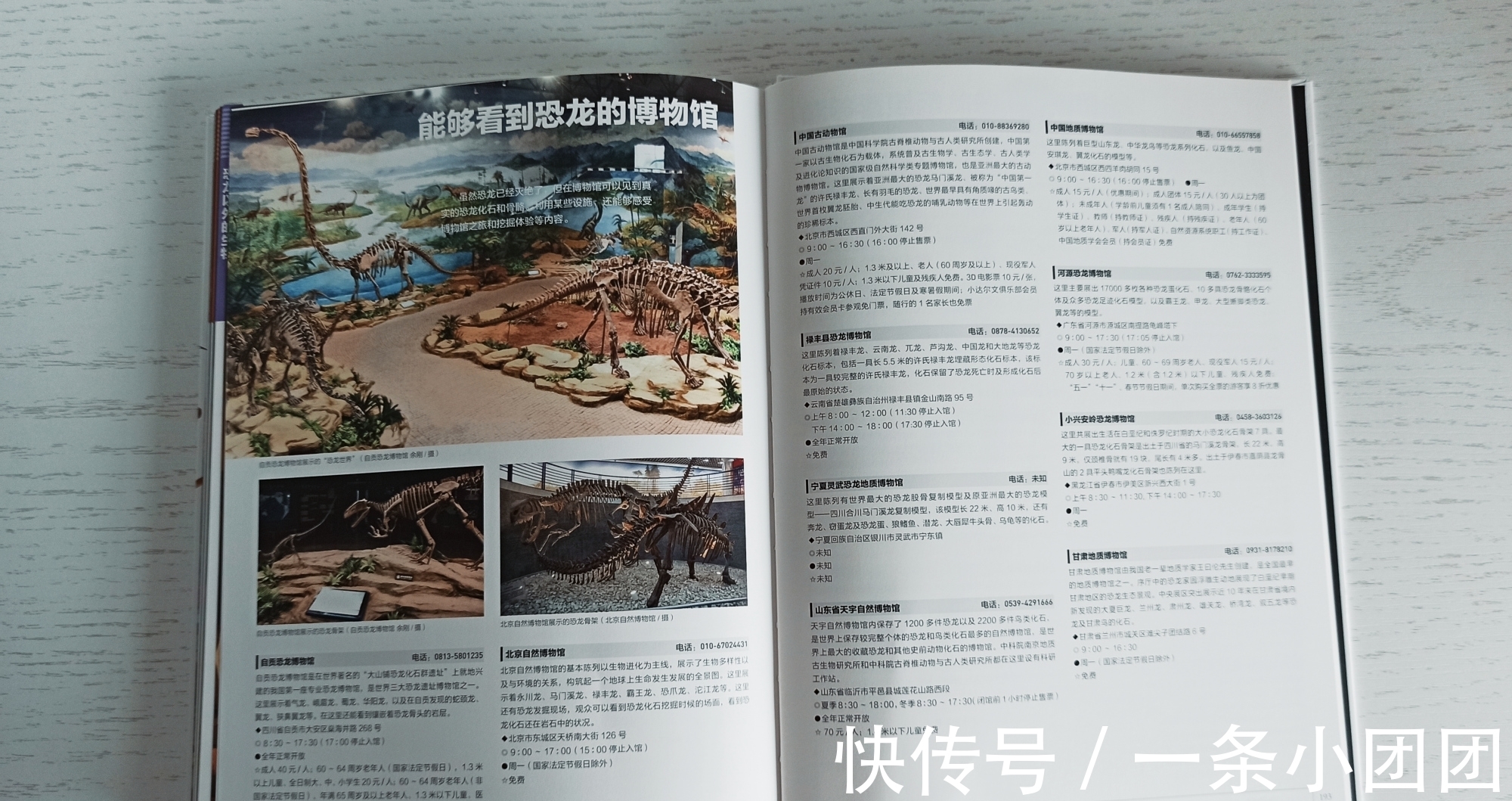 哆啦a梦#一本关于恐龙的百科书，让孩子爱上恐龙的世界