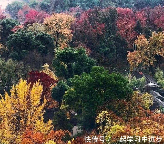  苏州人的宝岛秘境，美成仙境，却被时光遗忘！