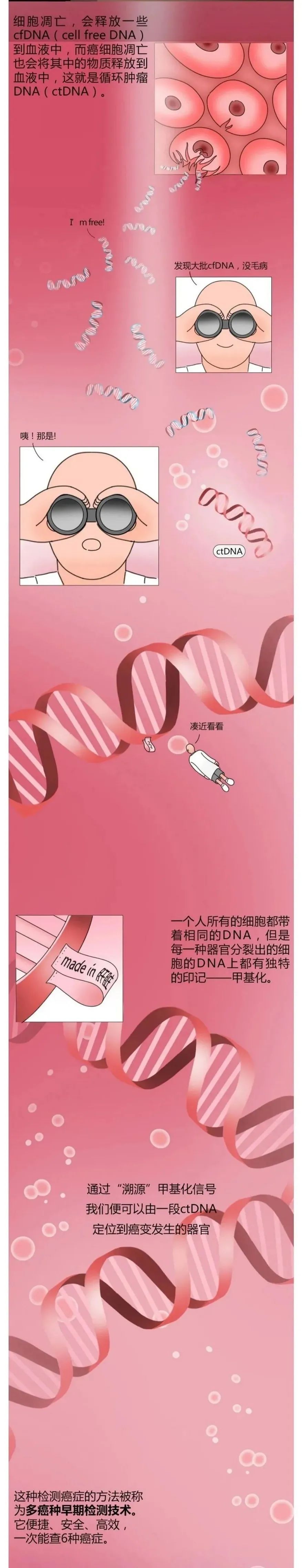 为什么每次体检都要抽那么多血?抽血能查什么病?