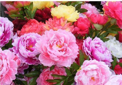 婆媳关系|婚姻中“最好命”的三大生肖女,丈夫没有发言权,婆媳关系融洽