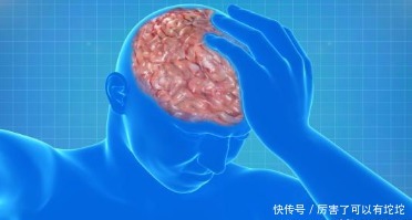 天然的“脑梗药”找到了,家中常备,泡水常喝,血管一天比一天好