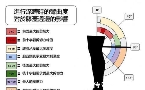 膝盖|如何深蹲不伤膝盖，2000字长文讲透深蹲一个动作，干货