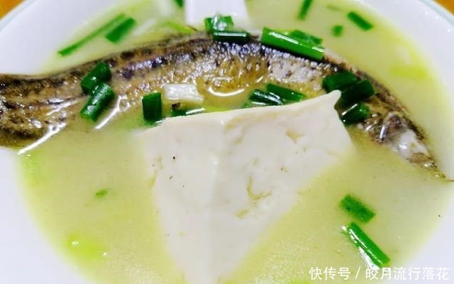 秘方|真正的广东人吃泥鳅秘方大公开,鲜香美味最下饭!