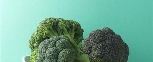 南瓜藤|好食物吃出好身体,3种食物不错过,补充营养,有益健康!