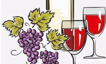 藏酒坊|知酒篇(三)酒的这十个冷知识你知道吗