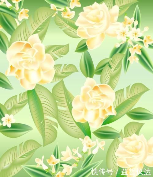 一个月|这种皮做成的肥水,养茉莉花,一个月长花苞,连开两次