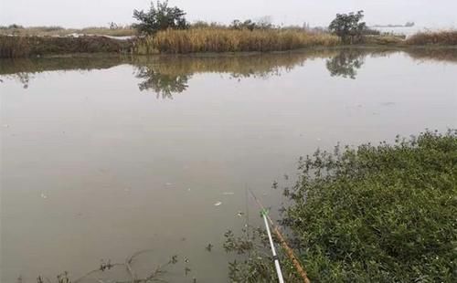 冬季钓鱼，容易爆护的天气汇总，鱼是否开口，天气才是根本