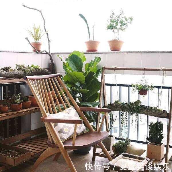 茶叶喝完就扔真是傻到家,明明是养花神器,被你白白糟蹋