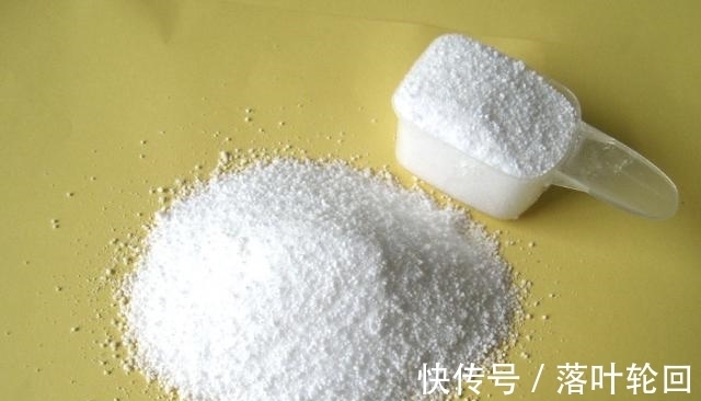 小苏打养花的3大好处,改良土壤、除臭、延长花期,你全懂吗?