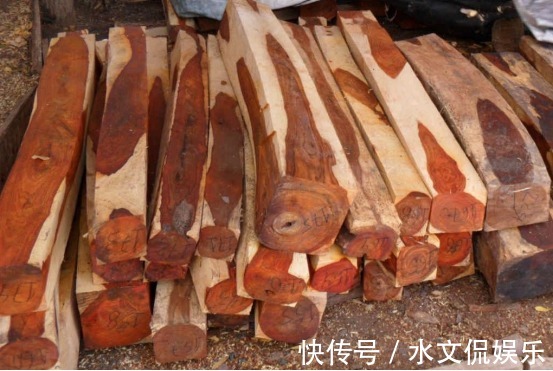 香枝木|全球最惨木材不识货的拿它当柴烧,其实一公斤上万元!你家有吗