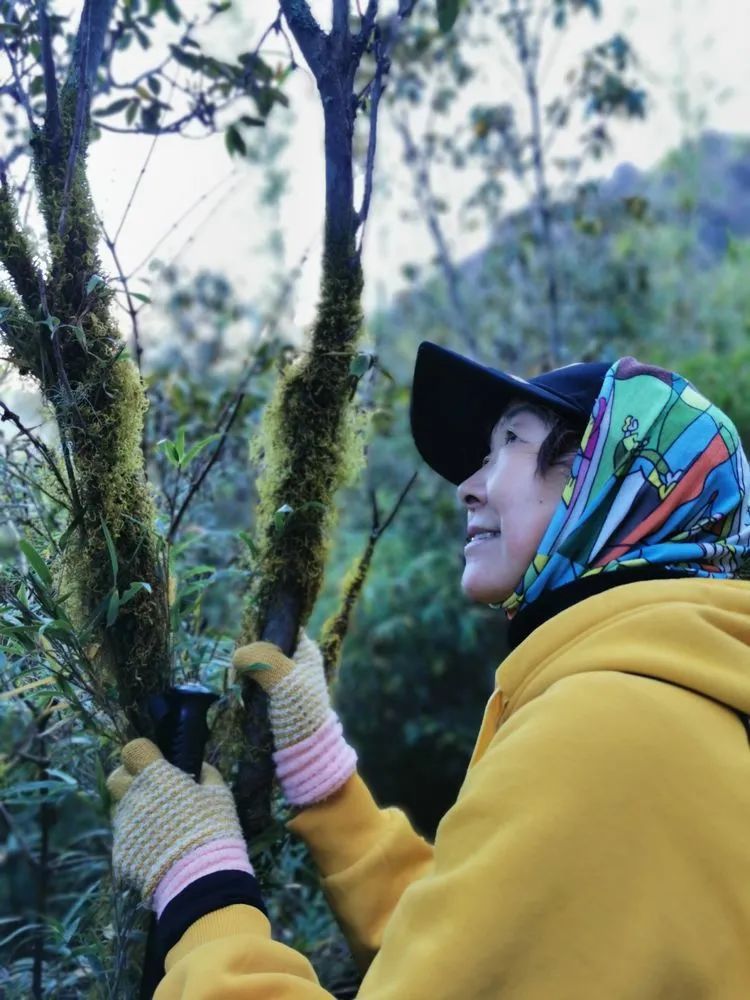 男女|一群在东川牯牛山撒野的男女