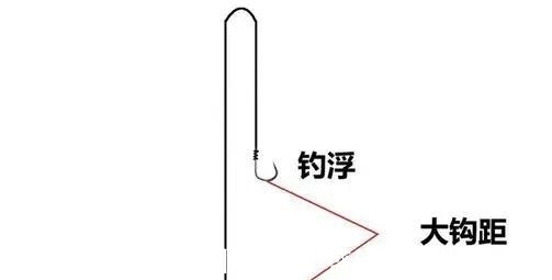 锚鱼|鲢鳙怎么钓?很多人第一步就错了。注意到这3点就怕鱼护装不下
