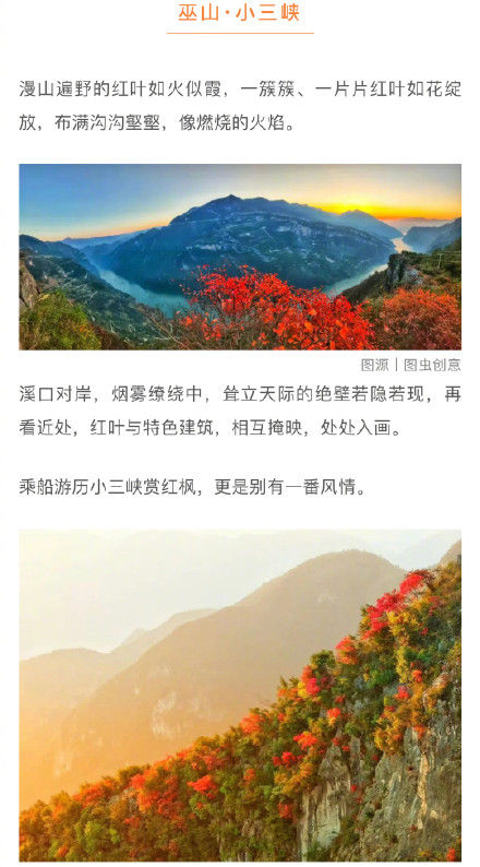 红叶|一睹山城的盛世美颜！最全重庆红叶地图请收好！